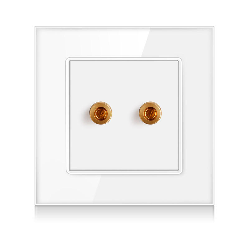 Main-01-2 International universal 2-hole audio socket