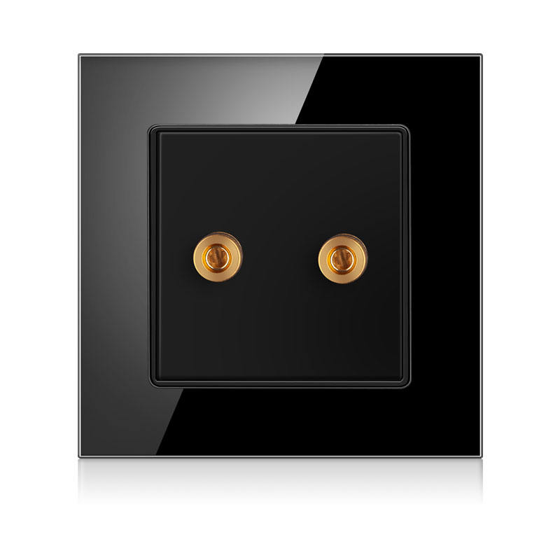 Main-03-2 International universal 2-hole audio socket