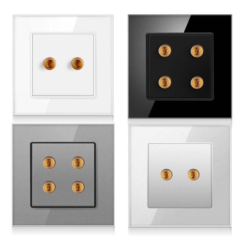 Main-06-2 International universal 2-hole audio socket